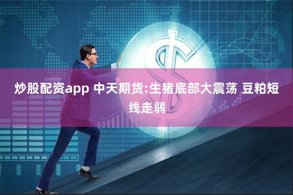 炒股配资app 中天期货:生猪底部大震荡 豆粕短线走弱