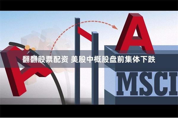 翻翻股票配资 美股中概股盘前集体下跌