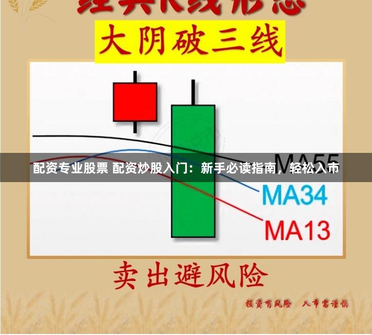配资专业股票 配资炒股入门：新手必读指南，轻松入市