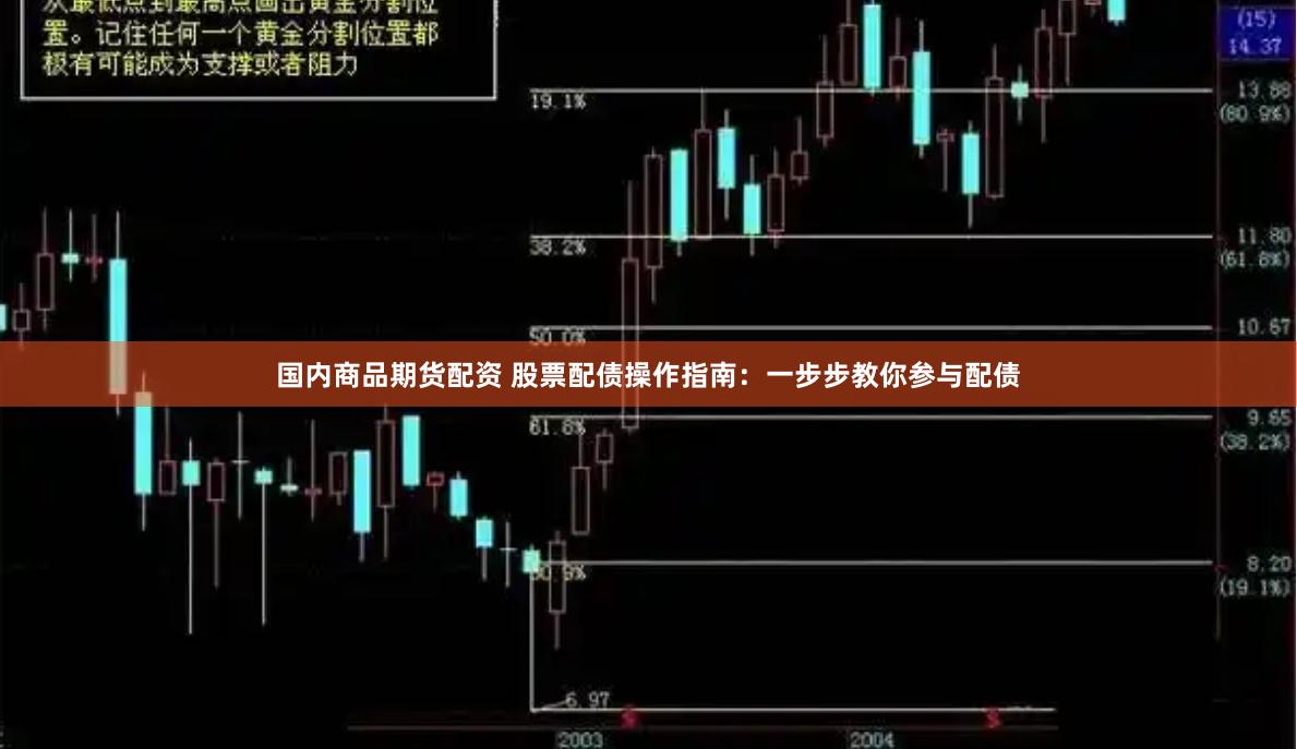 国内商品期货配资 股票配债操作指南：一步步教你参与配债
