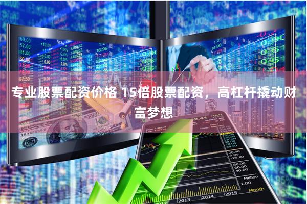 专业股票配资价格 15倍股票配资，高杠杆撬动财富梦想