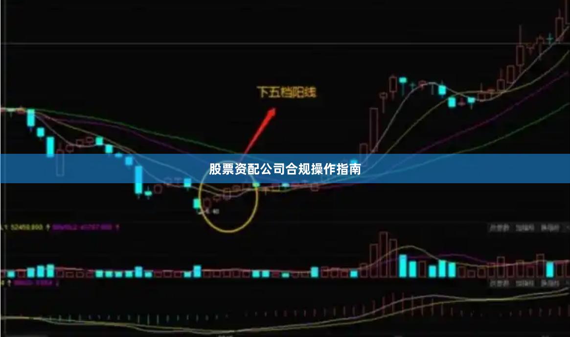 股票资配公司合规操作指南